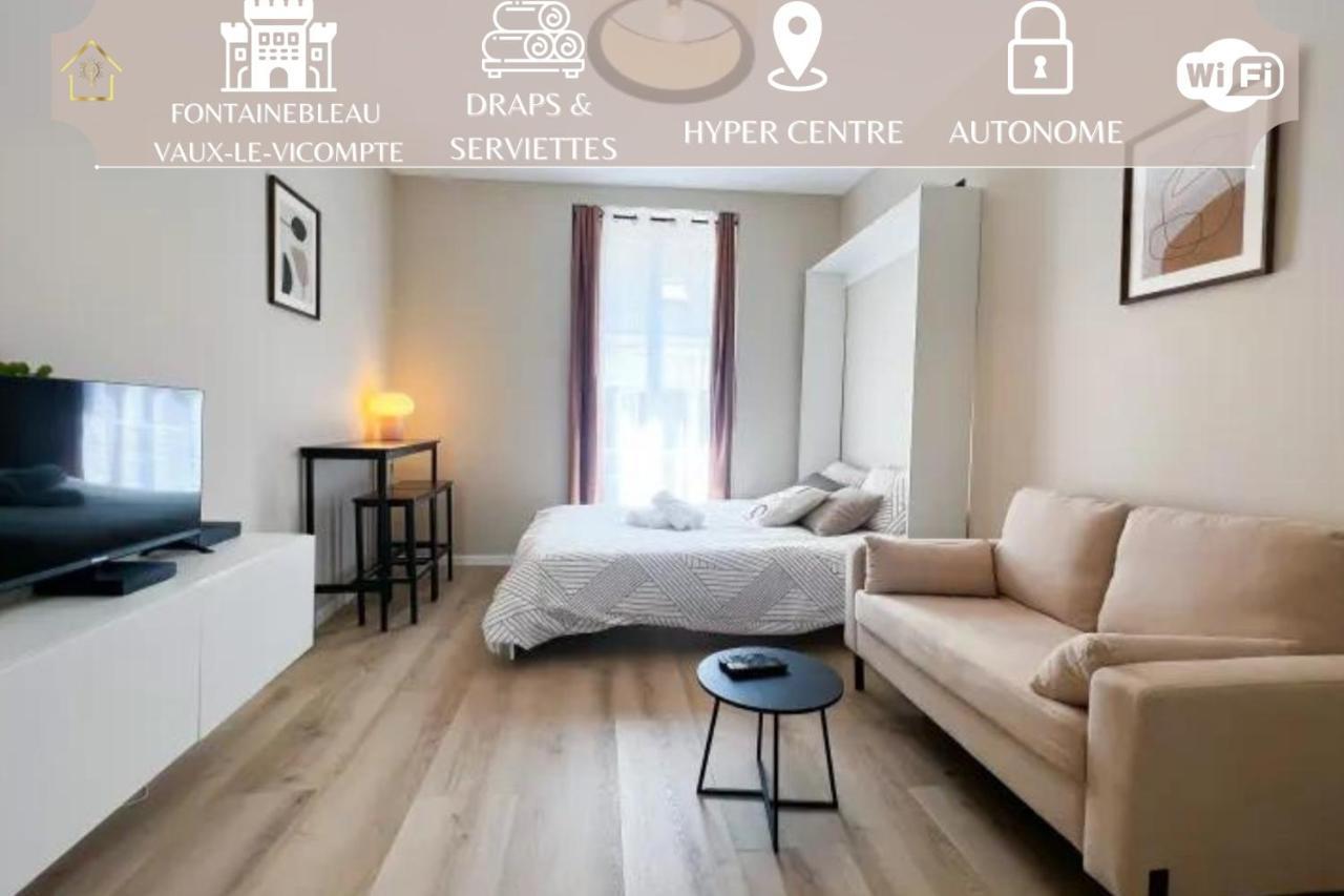 Ferienwohnung O Casanova Montereau-faut-Yonne Exterior foto